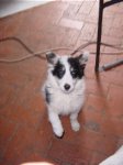 Zoom