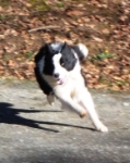 Zoom